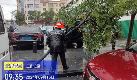 队员全力做好防台工作